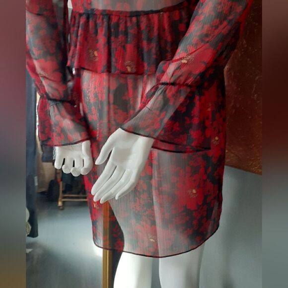 Zara Chiffon Sheer Ruffled Mini Dress - Picture 10 of 13